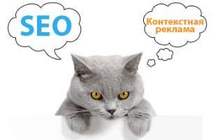 Seo или контекстная реклама: что выбрать?